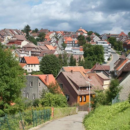 Ferienwohnung Wiesenblick Mit Terrasse Im Landhaus Fischer ซังคท์อันเดรอัสแบร์ก ภายนอก รูปภาพ